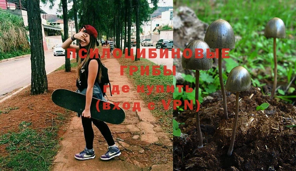 амфетамин Алексин